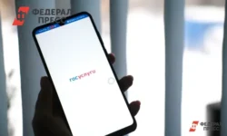 Максут Шадаев считает, что ЛизаАлерт и Госуслуги улучшат поиск людей maksut shadaev schitaet chto lizaalert i gosuslugi uluchshat poisk lyudej-ul-rks-ru-0