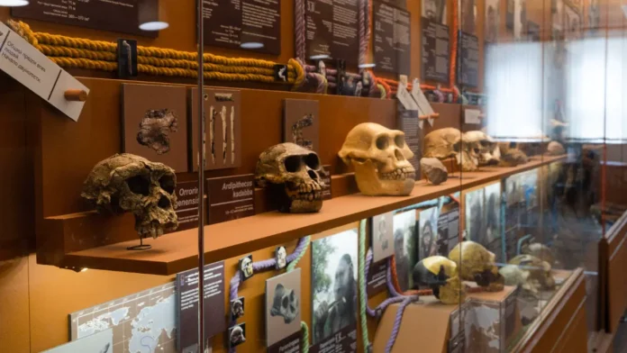 na vdnh predstavlen bioklaster s robotomgidom i kvestom na vystavke morfogenez tretya priroda-ul-rks-ru-0