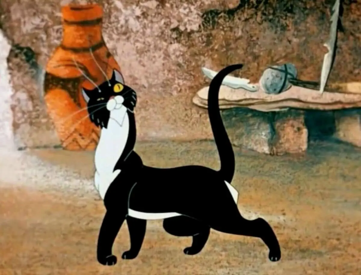 Новый генетический анализ демонстрирует историю домашних кошек из Северной Африки-0