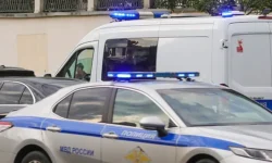 Полиция Ленинградской области investigates загадочный инцидент у конного клуба в Дранишниках policziya leningradskoj oblasti zagadochnyj inczident u konnogo kluba v dranishnikah-ul-rks-ru-0