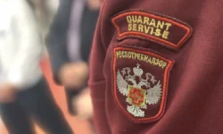 Роспотребнадзор выявил причину дизентерии у детей в Казбековском районе Дагестана rospotrebnadzor vyyavil prichinu dizenterii u detej v kazbekovskom rajone dagestana-ul-rks-ru-0