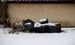 Арбитражный суд рассмотрит экологическое дело в Камышлове rosprirodnadzor