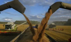 Россия и Китай развивают новое зерновое партнёрство с растущими перспективами экспорта rossiya i kitaj razvivayut novoe zernovoe partnyorstvo s rastushhimi perspektivami eksporta-ul-rks-ru-0