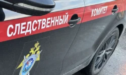 Следственный комитет России расследует трагедию в Елизовском районе Камчатки sledstvennyj komitet rossii rassleduet tragediyu v elizovskom rajone kamchatki-ul-rks-ru-0