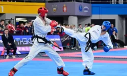 В Екатеринбурге стартуют Кубок России и Кубок Урала по тхэквондо, 800 чемпионов v ekaterinburge startuyut kubok rossii i kubok urala po thekvondo 800 chempionov-ul-rks-ru-0