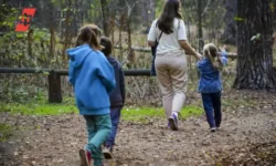 В Красноярском крае многодетные семьи могут получить земельный сертификат через Госуслуги и МФЦ при поддержке программы «Семья» v krasnoyarskom krae mnogodetnye semi mogut poluchit zemelnyj sertifikat cherez gosuslugi i mfcz pri podderzhke programmy semya-ul-rks-ru-0