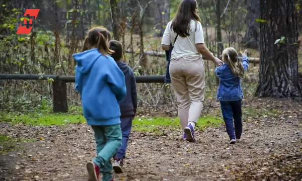 В Красноярском крае многодетные семьи могут получить земельный сертификат через Госуслуги и МФЦ при поддержке программы «Семья»-0