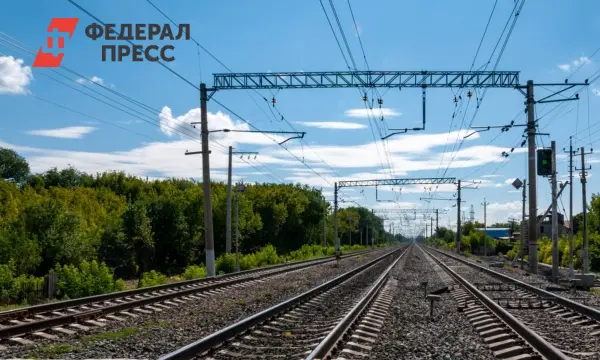 В Польше рухнула контактная сеть на пассажирский состав Варшава–Люблин-0