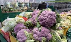 В Свердловской области отмечают позитивные изменения в борьбе с инфляцией, несмотря на рост утильсбора v sverdlovskoj oblasti otmechayut pozitivnye izmeneniya v borbe s inflyacziej nesmotrya na rost utilsbora-ul-rks-ru-0