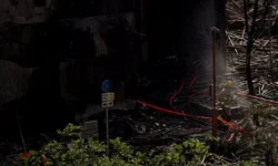 Владимир Путин и Си Цзиньпин выражают соболезнования Гонконгу vladimir putin i si czzinpin vyrazhayut soboleznovaniya gonkongu-ul-rks-ru-0