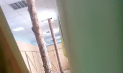 Вьюнская средняя школа Колыванского района сталкивается с вызовами Новосибирской области и предлагает современное образование vyunskaya srednyaya shkola kolyvanskogo rajona stalkivaetsya s vyzovami novosibirskoj oblasti i predlagaet sovremennoe obrazovanie-ul-rks-ru-0