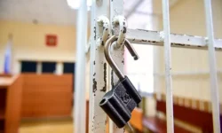 Алла Пугачева из Ленинского районного суда Новосибирска получила условный срок alla pugacheva iz leninskogo rajonnogo suda novosibirska poluchila uslovnyj srok-ul-rks-ru-0