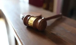 Анжела Цырульникова отказалась участвовать в суде по делу Ларисы Долиной anzhela czyrulnikova otkazalas uchastvovat v sude po delu larisy dolinoj-ul-rks-ru-0