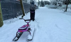 deti vozvrashhayutsya domoj blagodarya prilozheniyu gde moi deti v regionah rossii-ul-rks-ru-0