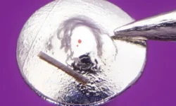 Дэвид Линдон с Желтым смайликом установил новый рекорд в Книге Гиннесса рядом с портретом королевы Елизаветы II devid lindon s zheltym smajlikom ustanovil novyj rekord v knige ginnessa ryadom s portretom korolevy elizavety -ul-rks-ru-0