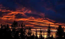 Евгений Буянов объясняет связь исчезновения Усольцевых с солнечной активностью evgenij buyanov obyasnyaet svyaz ischeznoveniya usolczevyh s solnechnoj aktivnostyu-ul-rks-ru-0