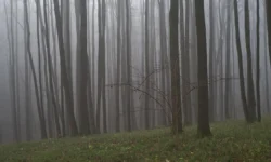 Евгений Вельдин из Борисоглебска спас подростка в Воронежской области evgenij veldin iz borisoglebska spas podrostka v voronezhskoj oblasti-ul-rks-ru-0