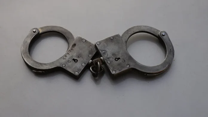 mari stejnburg iz identona proyavila dobrotu k charlzu bebbu-ul-rks-ru-0