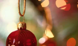 Михаил Делягин обсудил с Иреком Файзуллиным темы новогодних ёлок и строительства mihail delyagin obsudil s irekom fajzullinym temy novogodnih yolok i stroitelstva-ul-rks-ru-0