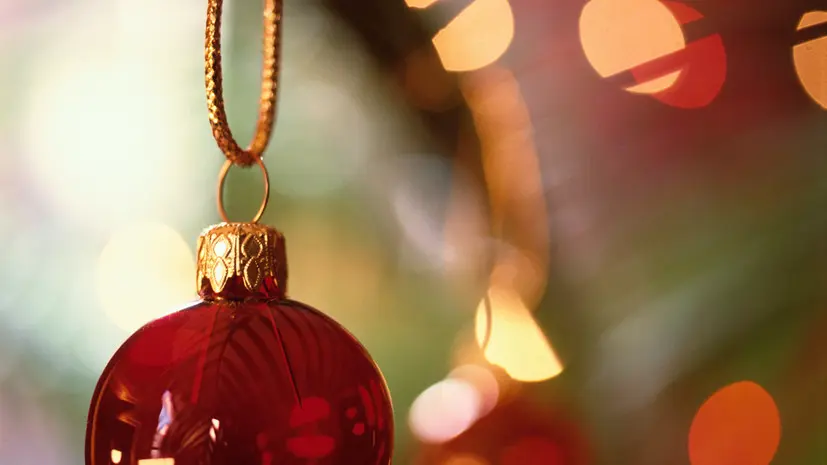 В Госдуме призвали упростить процедуру установки новогодней ёлки в подъезде дома