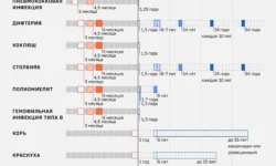 Минздрав подтверждает планомерное расширение национального календаря прививок до 2035 года minzdrav podtverzhdaet planomernoe rasshirenie naczionalnogo kalendarya privivok do 2035 goda-ul-rks-ru-0