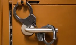 МВД России пресекло поток нелегалов в Москву, связанный с курьерами mvd rossii preseklo potok nelegalov v moskvu svyazannyj s kurerami-ul-rks-ru-0