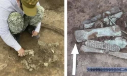 Находки Института археологии РАН в Оренбургской области раскрывают сокровища Высокой Могилы nahodki instituta arheologii ran v orenburgskoj oblasti raskryvayut sokrovishha vysokoj mogily-ul-rks-ru-0