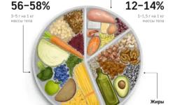 natalya levchenko iz mosvetobedineniya obyasnyaet kak zashhitit pitomczev ot novogodnej edy-ul-rks-ru-0