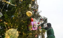 Новогодняя ель из Рузского округа украсит Кремль на Соборной площади novogodnyaya el iz ruzskogo okruga ukrasit kreml na sobornoj ploshhadi-ul-rks-ru-0