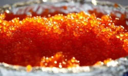 Ольга Тарасова предлагает варианты сочетания икры, хлеба и авокадо olga tarasova predlagaet varianty sochetaniya ikry hleba i avokado-ul-rks-ru-0