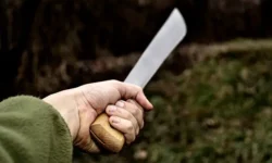 Полиция Тарнобжега быстро предотвратила инцидент в школе № 7 в Польше policziya tarnobzhega bystro predotvratila inczident v shkole 7 v polshe-ul-rks-ru-0