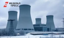 Проблема ядерной безопасности в Чернобыле и мнение МАГАТЭ и Владимира Кузнецова problema yadernoj bezopasnosti v chernobyle i mnenie magate i vladimira kuzneczova-ul-rks-ru-0