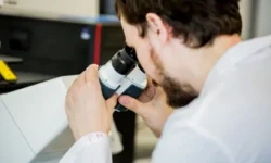 Россельхознадзор Приморья обеспечивает безопасность куриной голени в фастфуде Владивостока rosselhoznadzor primorya obespechivaet bezopasnost kurinoj goleni v fastfude vladivostoka-ul-rks-ru-0