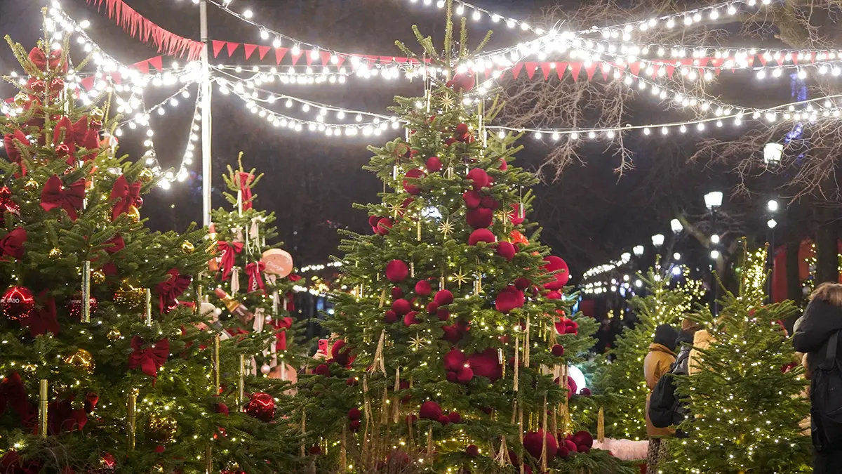 ВЦИОМ: Россияне планируют потратить на Новый год около 60 тысяч рублей