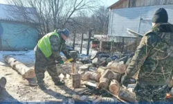 Семью участника СВО в Приморье оставили без дров в холодную погоду semyu uchastnika svo v primore ostavili bez drov v holodnuyu pogodu-ul-rks-ru-0