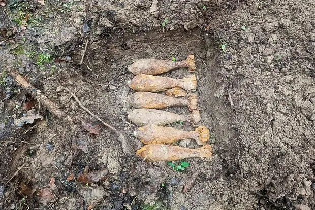 Вводная картинка