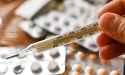 Светлана Вахрушева и Петр Чумаков из ДВФУ и РАН об особенностях гонконгского гриппа svetlana vahrusheva i petr chumakov iz dvfu i ran ob osobennostyah gonkongskogo grippa-ul-rks-ru-0