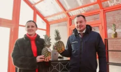 Сысерть расцветает благодаря новым арт-объектам и навигации от Дмитрия Ионина sysert rasczvetaet blagodarya novym artobektam i navigaczii ot dmitriya ionina-ul-rks-ru-0