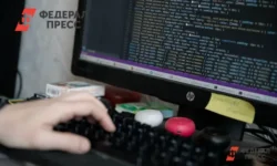 УФСБ и СК РФ в Хакасии поддержали подростка, поднимая ценность данных ufsb i sk rf v hakasii podderzhali podrostka podnimaya czennost dannyh-ul-rks-ru-0