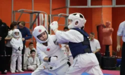 В Сысерти прошёл вдохновляющий турнир по киокушин с участием Брезгина и Мансурова v syserti proshyol vdohnovlyayushhij turnir po kiokushin s uchastiem brezgina i mansurova-ul-rks-ru-0