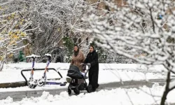 Владимир Путин оптимистично оценил перспективы повышения рождаемости в стране vladimir putin optimistichno oczenil perspektivy povysheniya rozhdaemosti v strane-ul-rks-ru-0