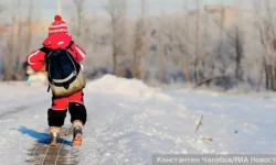 Анатолий Вассерман предложил готовить школы Челябинска к учебе зимой anatolij vasserman predlozhil gotovit shkoly chelyabinska k uchebe zimoj-ul-rks-ru-0