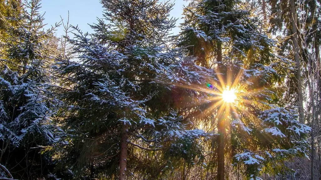 Москвичей приглашают на прогулки по природным территориям города