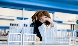 ДВФУ, Владимир Лисица и РНФ открывают новые горизонты ИИ dvfu vladimir lisicza i rnf otkryvayut novye gorizonty ii-ul-rks-ru-0