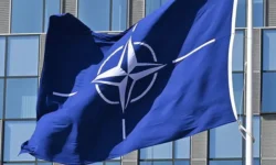 Ким Дотком обсудил Дональда Трампа, Гренландию и будущее НАТО kim dotkom obsudil donalda trampa grenlandiyu i budushhee nato-ul-rks-ru-0