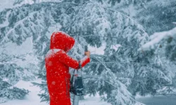 Крепкие морозы и легкий снег создадут зимнее настроение в Приморье krepkie morozy i legkij sneg sozdadut zimnee nastroenie v primore-ul-rks-ru-0