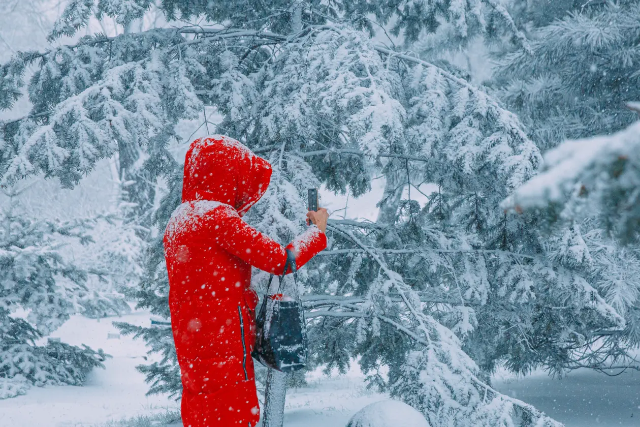 Фото: primamedia.ru