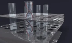 МГУ, Сколтех и ИТЭБ РАН: температурный контроль CRISPR/Cas9 и BspD6I mgu skolteh i iteb ran temperaturnyj kontrol 9 i 6-ul-rks-ru-0
