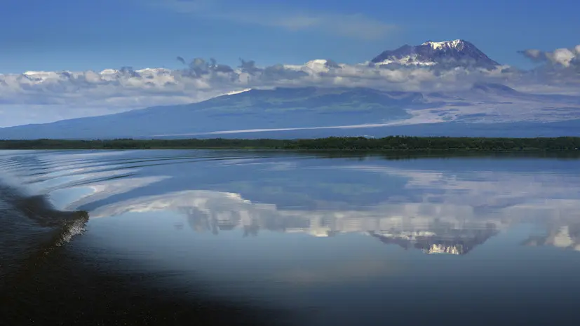 Вулкан Шивелуч в 2026-м: что известно о самом северном действующем вулкане Камчатки