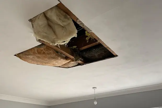 Архивное фото